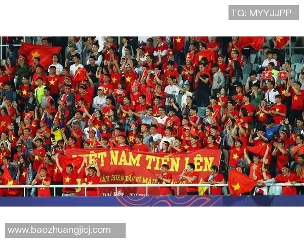 桑德豪森足球队的崛起与挑战：探索历史与未来的交汇点